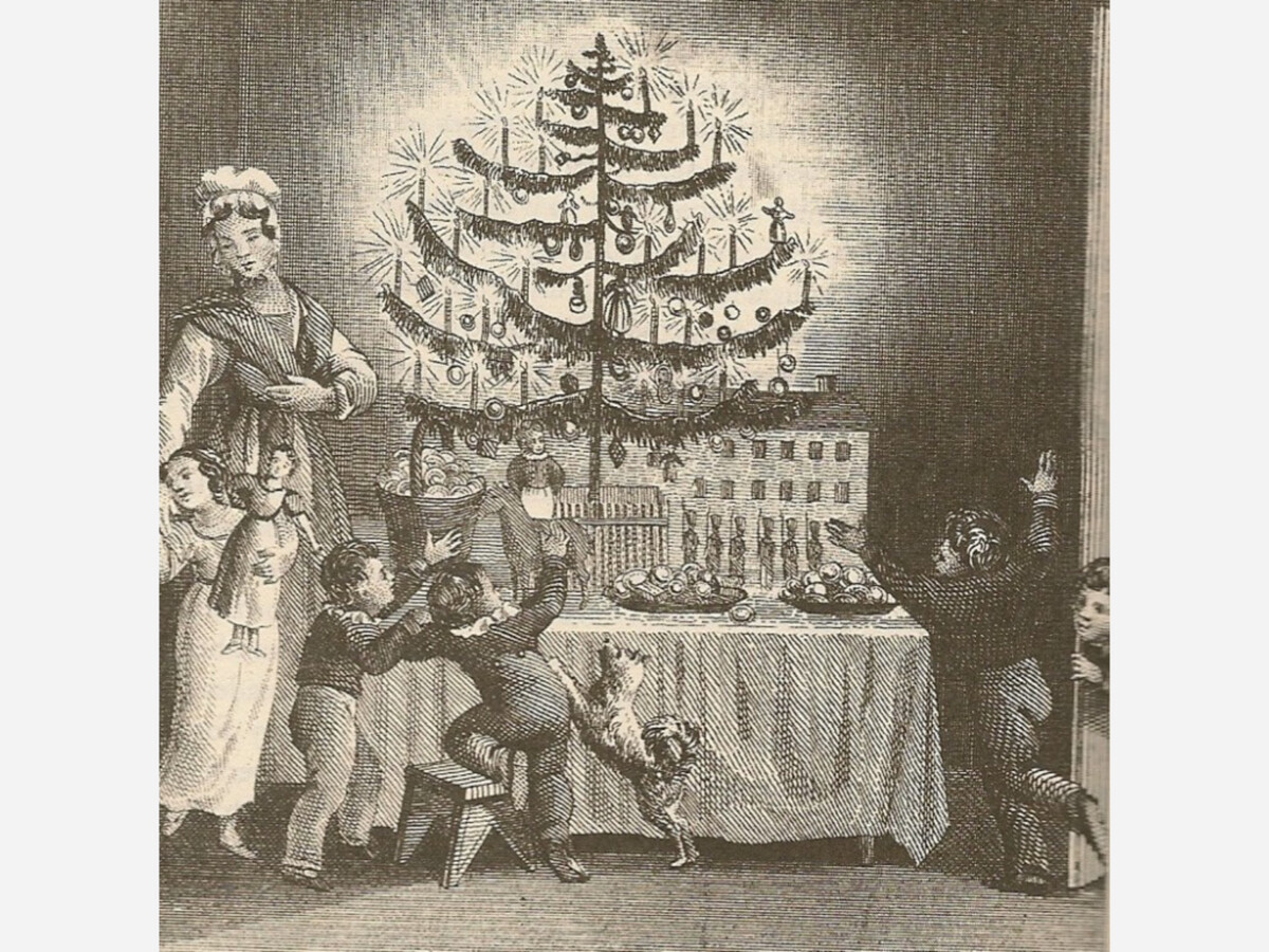 History of the Christmas Tree: Legends, Family and Capitalism
